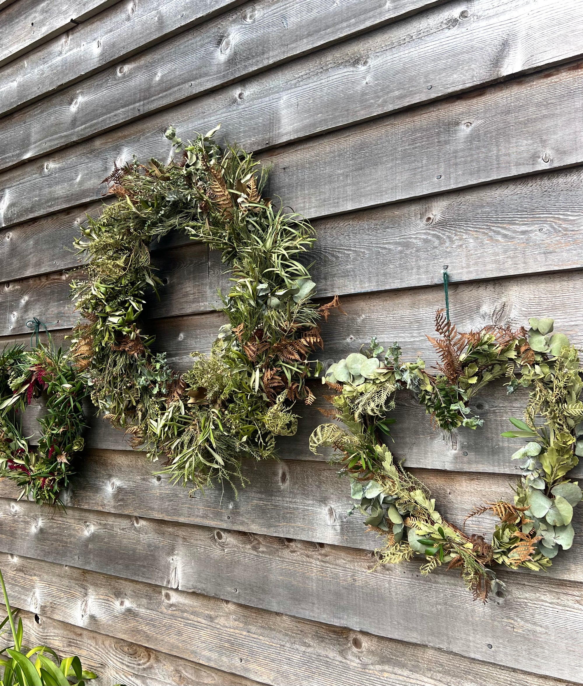 Wreaths for any occasion: Christmas, Birthdays, Weddings and Sympathy